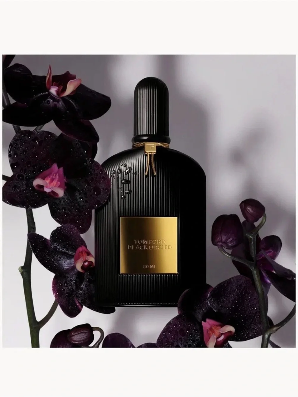 6pc Tom Ford Signature Discovery Set Black Orchid Ombre Leather Grey Vetiver NIB